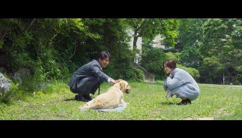 나에게만 그녀가 보이기 시작했다. 천우희 김남길 주연 ＜영화 어느날＞ 05 | 인스티즈
