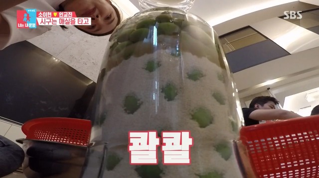 [동상이몽2] 매실주 담는게 너무 행복한 소이현 | 인스티즈