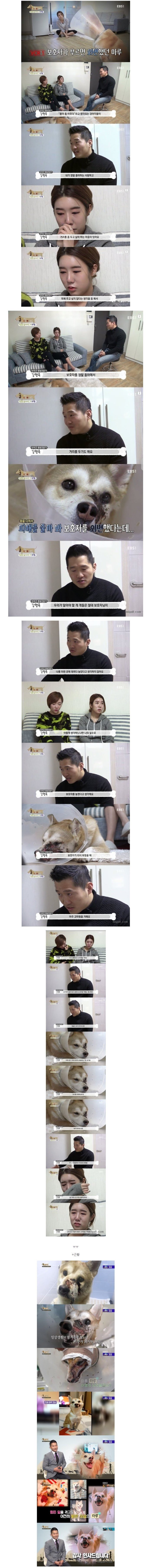 강아지는 몸이 아프면 주인을 멀리한다.jpg | 인스티즈