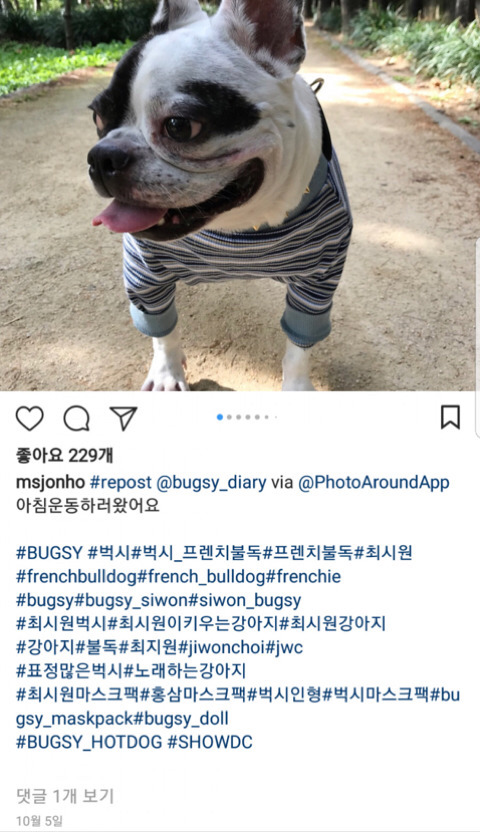 최시원네 개 사건 이후 태도들 | 인스티즈