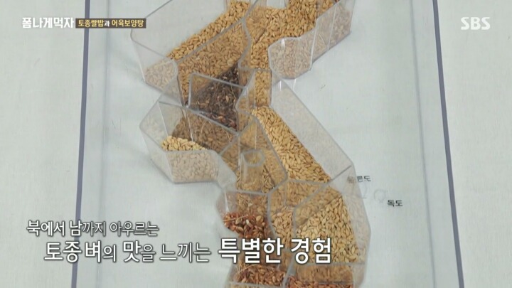 한반도의 토종 벼 품종.JPG | 인스티즈