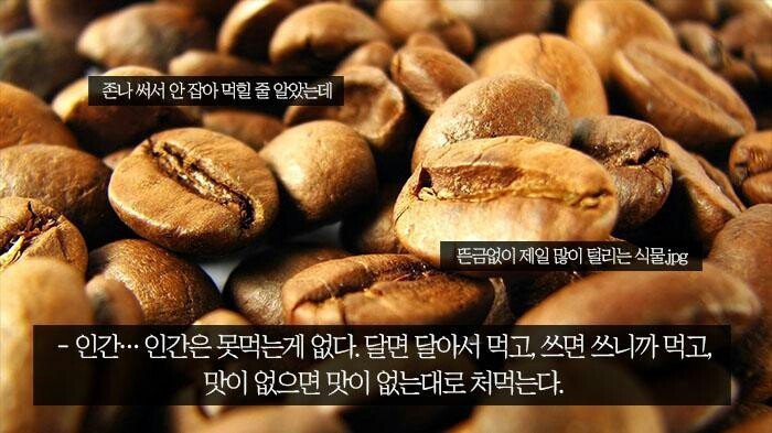인간이 만물의 영장인 이유 | 인스티즈