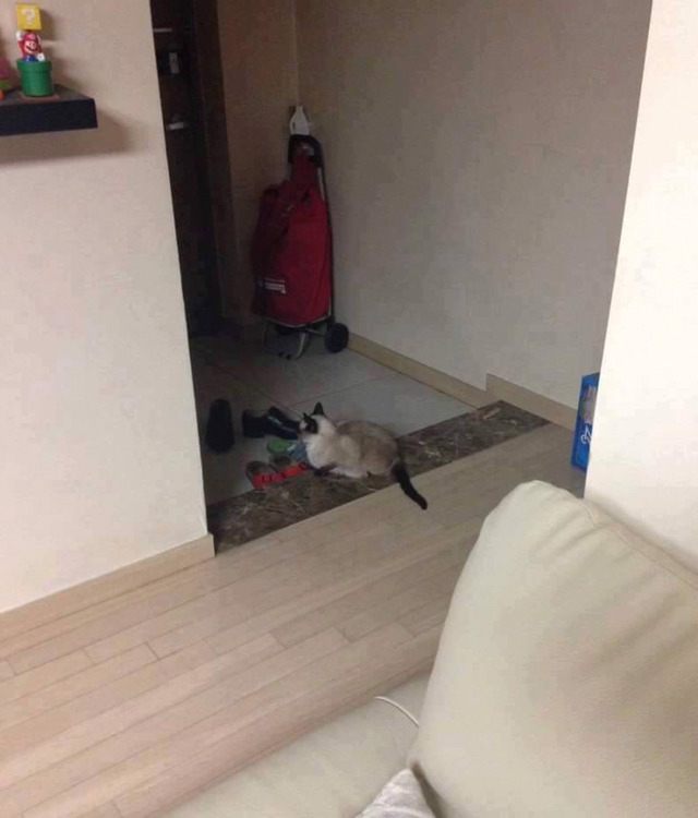때문이라도 집에 일찍보내주자!!!!! | 인스티즈