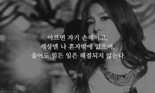 보아 명언.JPG | 인스티즈