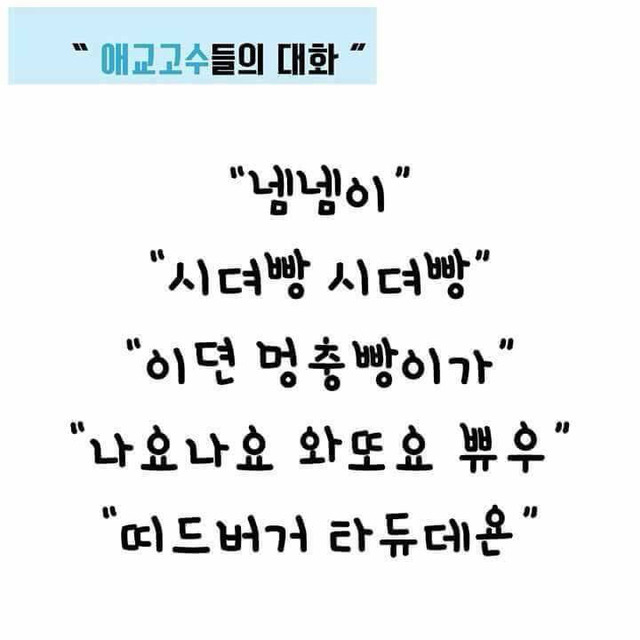 애교 수업 | 인스티즈