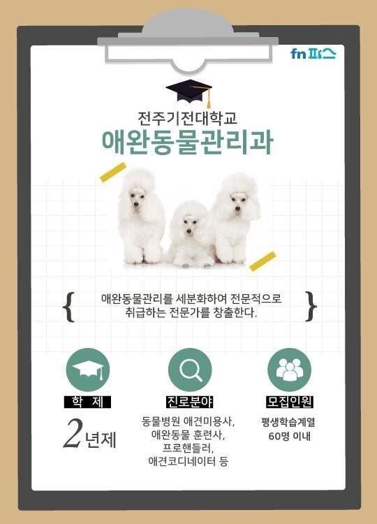 한국 대학교에 존재하는 이색적인 학과들 | 인스티즈