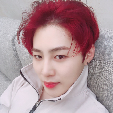 우와우 이미지