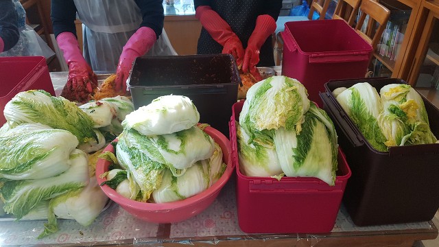 마리아유치원 이미지