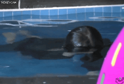 맨날 당하는 소혜 | 인스티즈