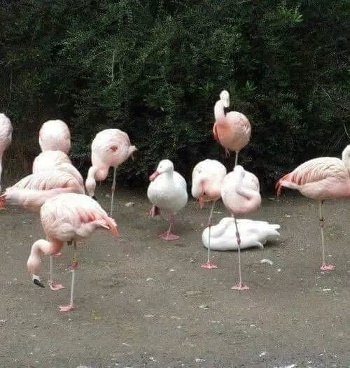 오 여긴 이게 규칙이야?.jpg | 인스티즈