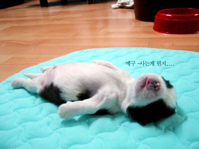 참 이미지