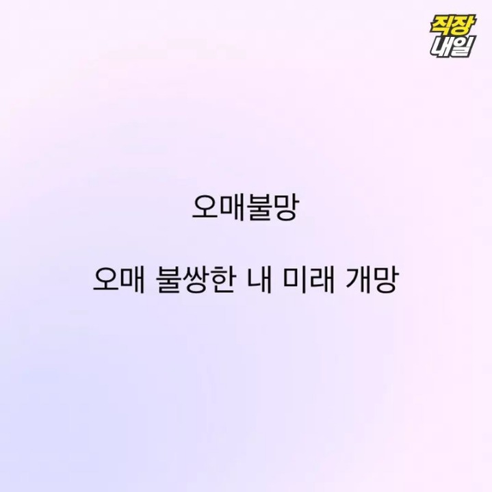 직장인의 사자성어 해석 | 인스티즈