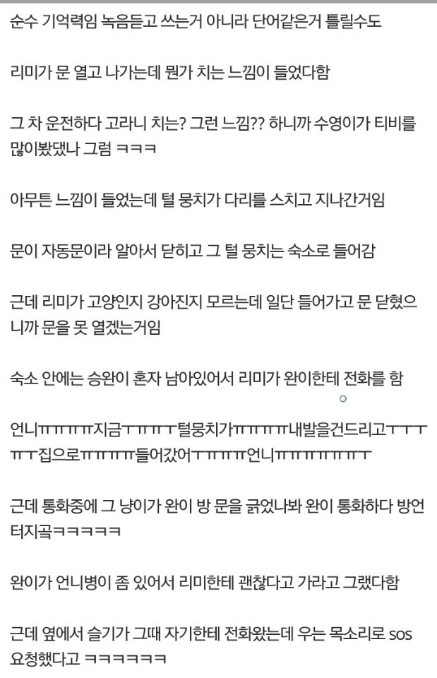 [레드벨벳] 조이 생파에 공개된 시트콤 같은 숙소에 고양이 난입한 일화ㅋ | 인스티즈