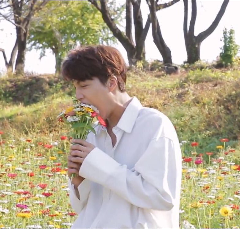이니야 이미지