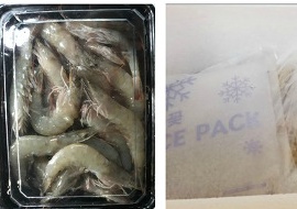 통영우럭 이미지