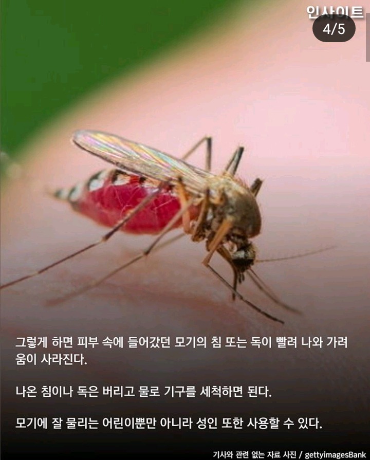 올여름 핫아이템 | 인스티즈