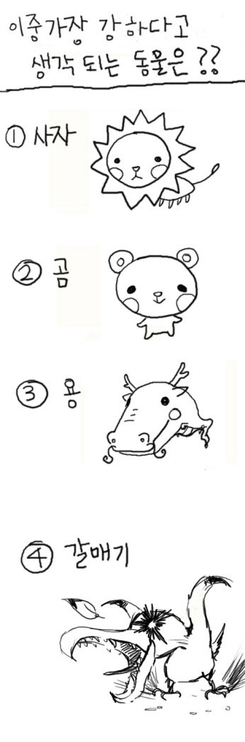 다음중 가장 강해보이는 동물을 하나 고르시오 .jpg | 인스티즈