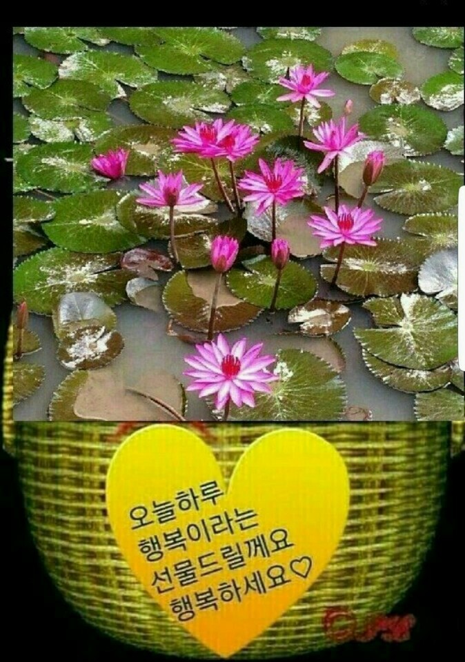 고향막창 이미지