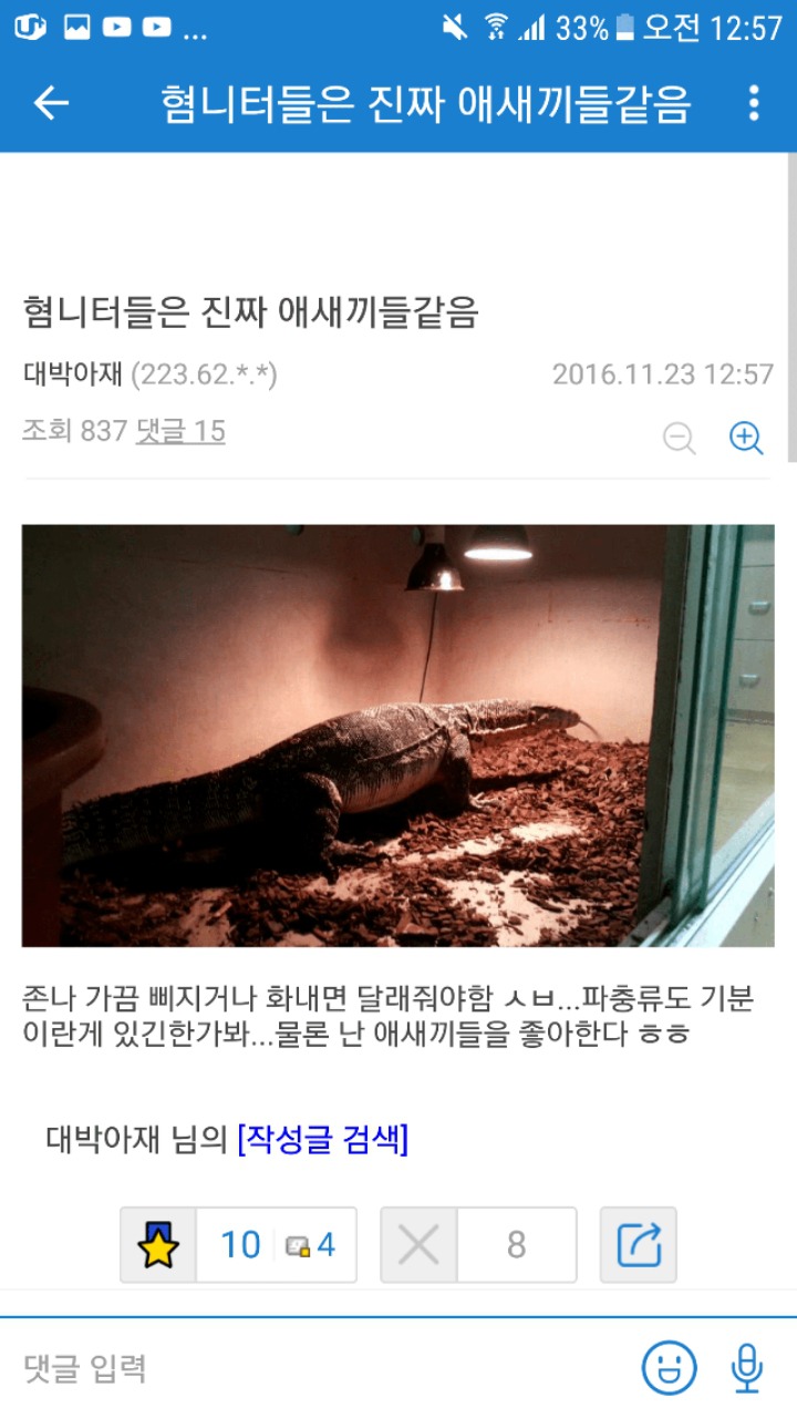 집에서 왕도마뱀 키우는 디씨인.jpg | 인스티즈