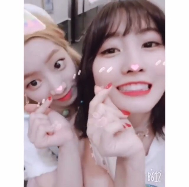 6/17 트와이스 두부한모.jpg | 인스티즈