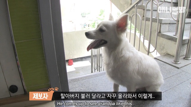 주인님이 열흘 째 문을 열어주지 않아요.. (캡쳐) | 인스티즈