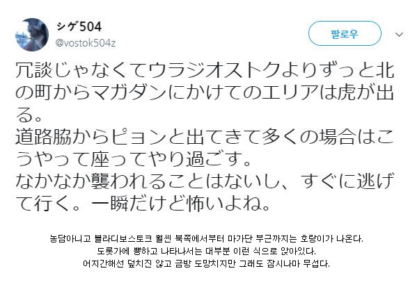 호랑이가 출몰하는 지역 | 인스티즈