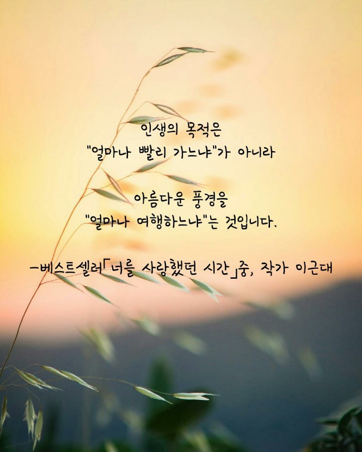 사랑커피숍 이미지