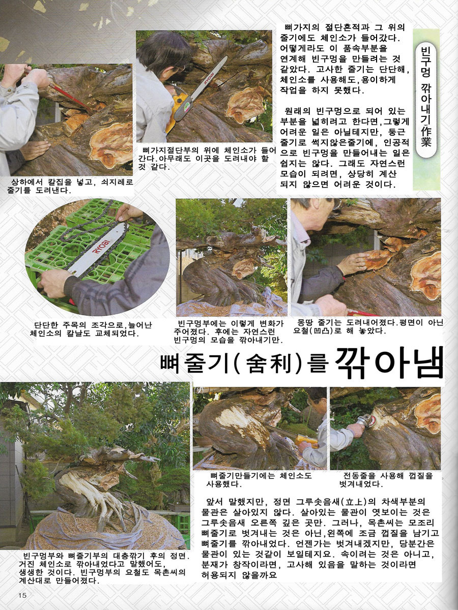 정언 이미지