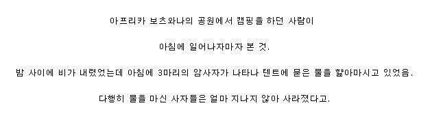 캠핑 레전드...gif | 인스티즈