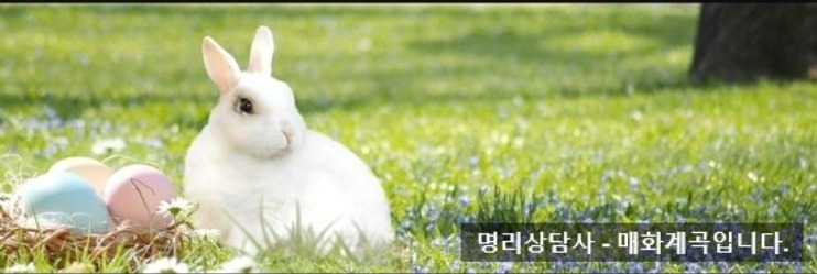 신묘 이미지