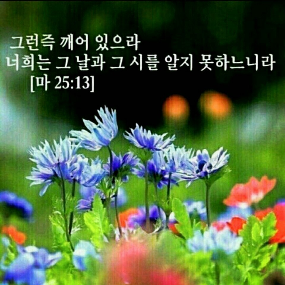 좋은문학 창작예술인협회 | 커피 한잔하시면서 좋은 하루 보내세요.~^♡♡ - Daum 카페 커피 한잔하시면서 좋은 하루 보내세요.~^♡♡ 