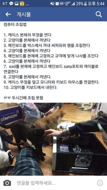 고양이 키우는사람 PC 조립 | 인스티즈