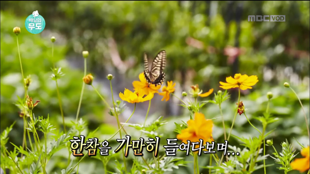 8살때 떠나온 고향을 영상과 사진으로 만나는 할머님 | 인스티즈