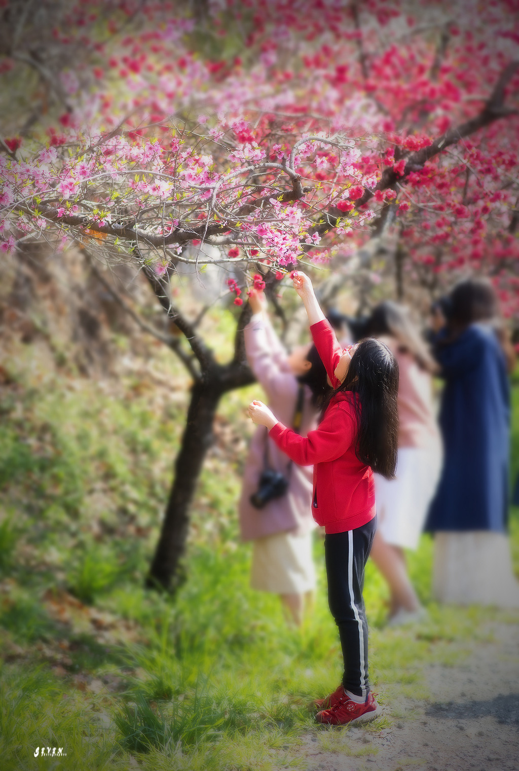 오드 이미지