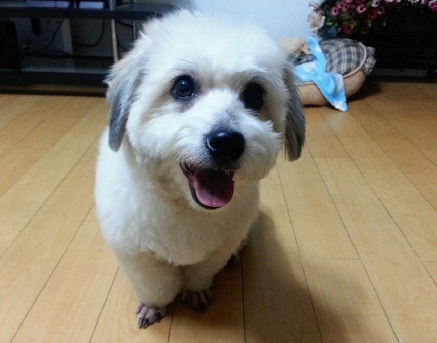 5년차 마느님이 기분 좋을 때 해주시는 상차림 | 인스티즈