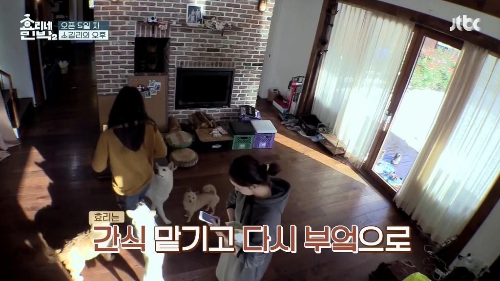 [효리네민박] 이상순 서울출장날 세상 바빴던 직원 윤아의 하루 정리.jpg | 인스티즈