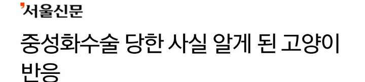 중성화수술 당한 사실 알게 된 고양이 반응 | 인스티즈