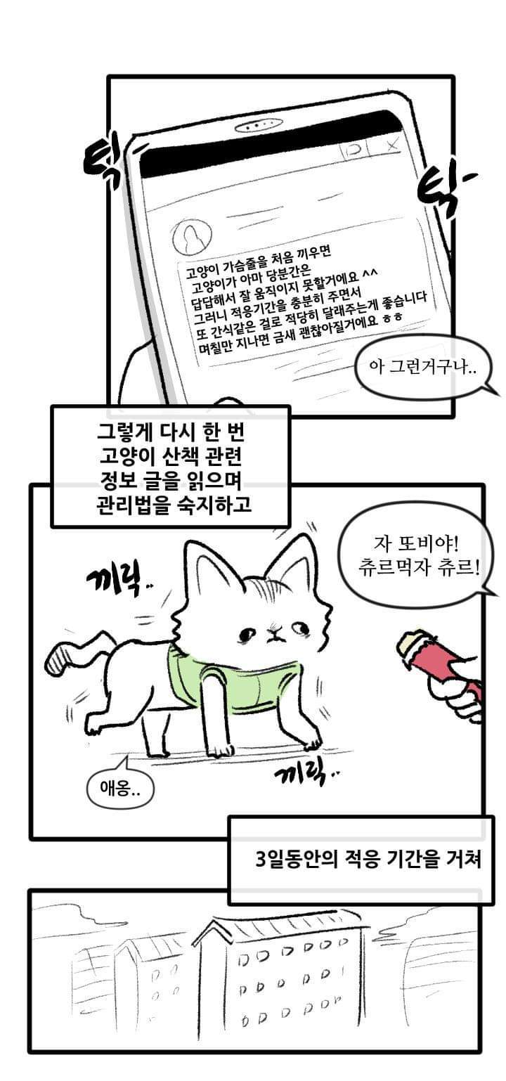 우리집 고양이 이야기.manhwa | 인스티즈