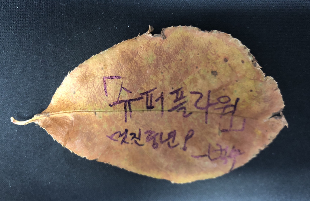 여고에서 잘생긴 교생의 최후 | 인스티즈
