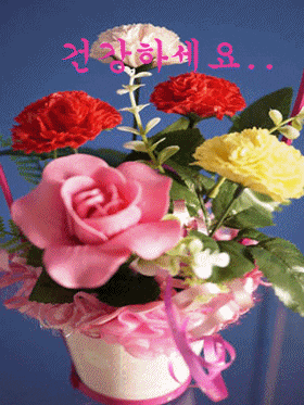 당신의 재치에 감탄하며 놓고가는 움짤 모음.gif | 인스티즈