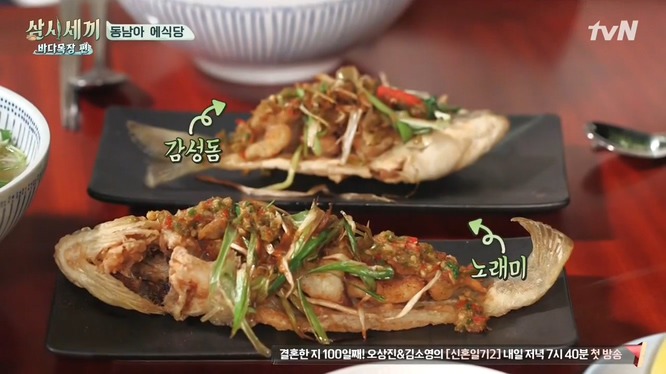 삼시세끼 바다목장편 마지막 세끼 .jpg | 인스티즈