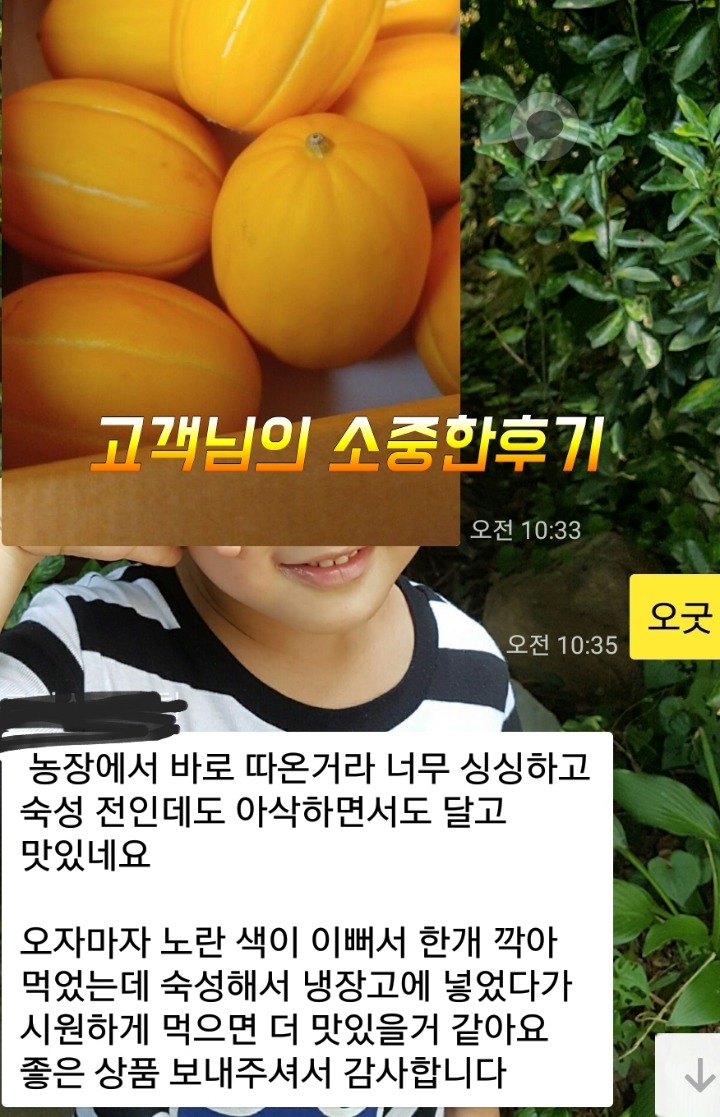 금향 이미지