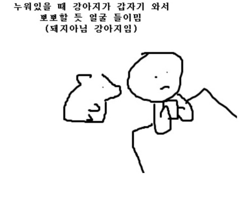 강아지가 뽀뽀할 듯 얼굴 들이밀 때 공감 | 인스티즈