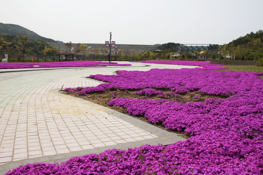 잔디공원 이미지