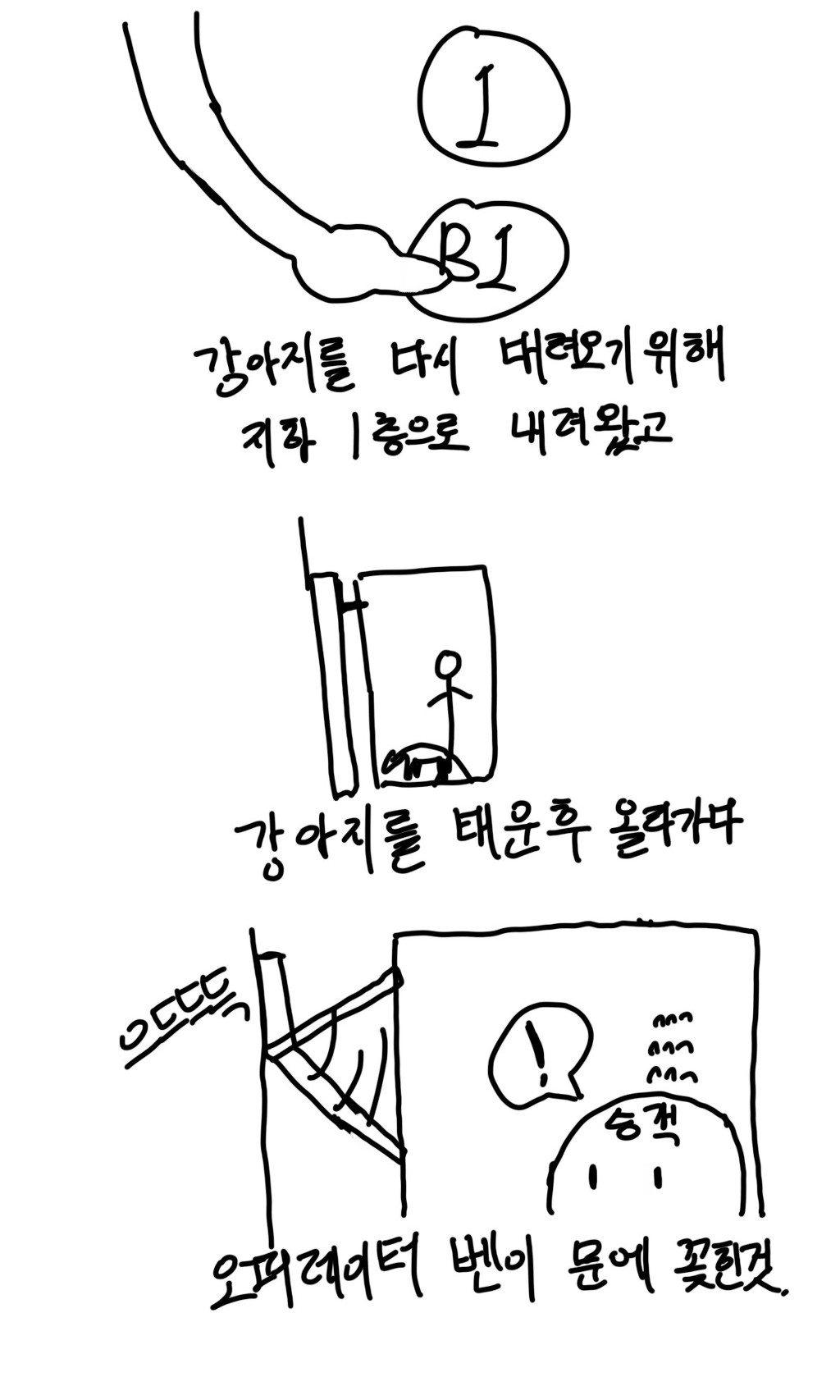 강아지랑 엘레베이터 탈때 사람 없어도 안고 타야하는 이유 | 인스티즈