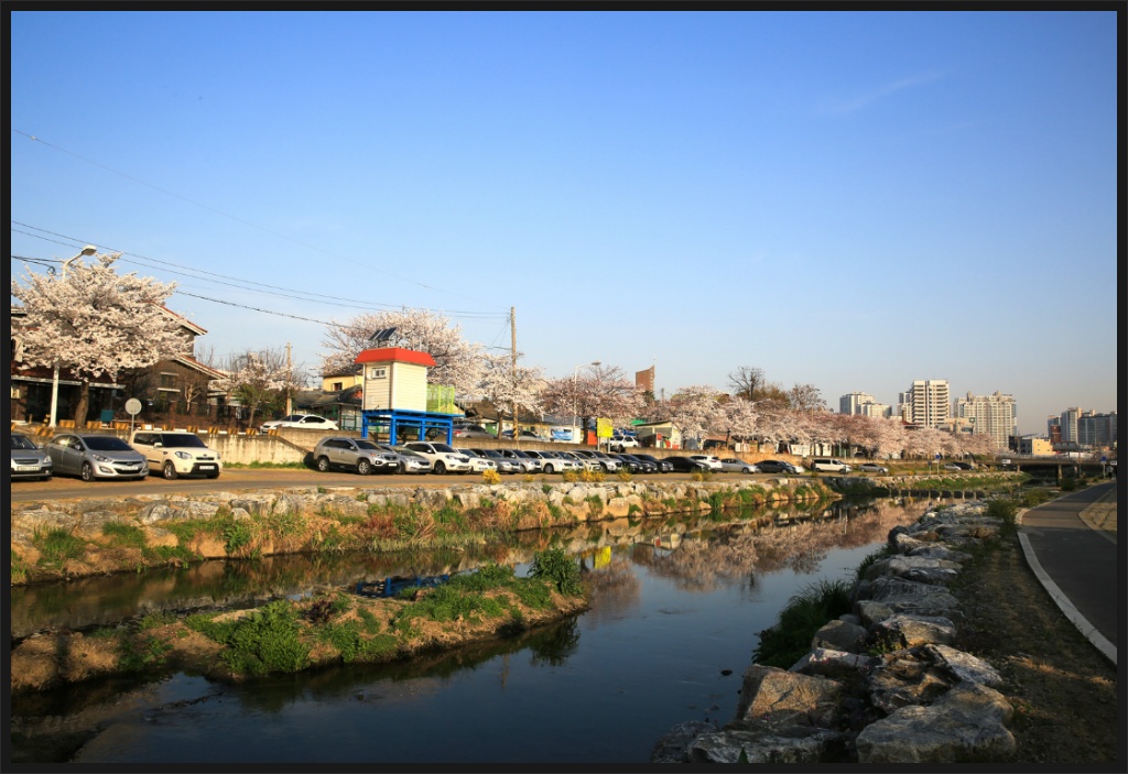 대동천 이미지
