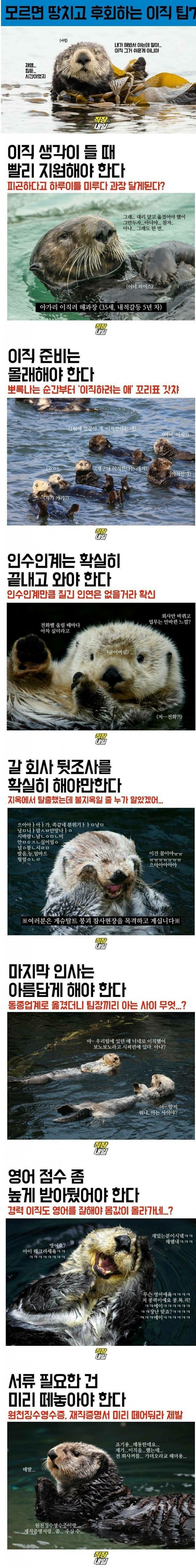 모르면 땅치고 후회하는 이직 팁 7가지 | 인스티즈