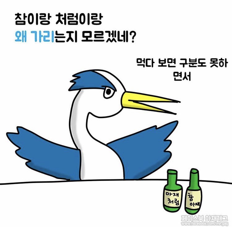 새들이 술 마실 때 하는 말. jpg | 인스티즈