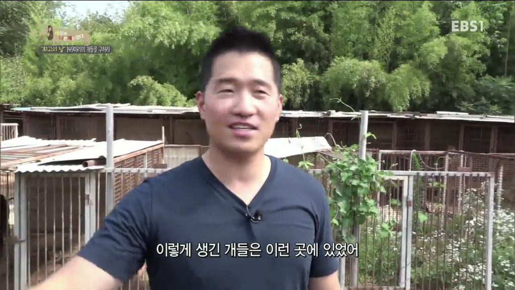 어떻게 그럴 수가 있을까요? 어떻게 사람을 그렇게 좋아할 수 있죠? | 인스티즈