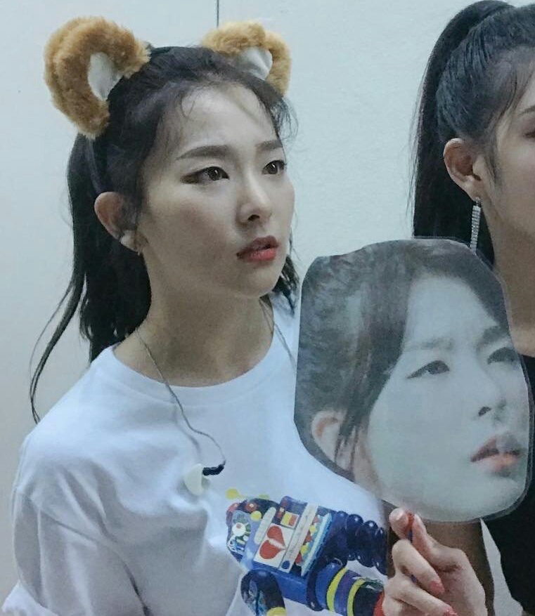 부채표정 따라하는 레드벨벳 슬기 | 인스티즈